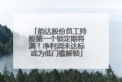 韵达股份员工持股第一个锁定期将满！净利润未达标或为低门槛解锁