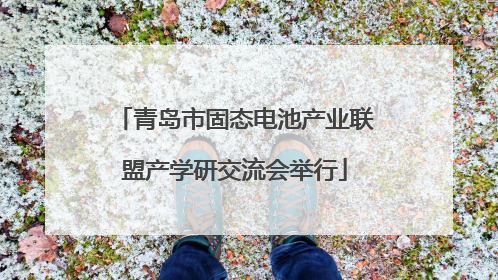 青岛市固态电池产业联盟产学研交流会举行