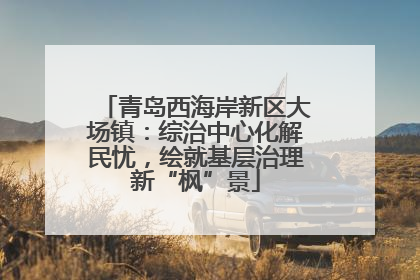 青岛西海岸新区大场镇：综治中心化解民忧，绘就基层治理新“枫”景