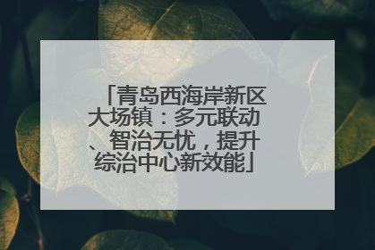 青岛西海岸新区大场镇：多元联动、智治无忧，提升综治中心新效能
