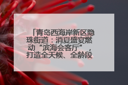 青岛西海岸新区隐珠街道：消夏盛宴燃动“滨海会客厅”，打造全天候、全龄段消费生态圈
