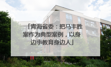 青海省委：把马丰胜案作为典型案例，以身边事教育身边人