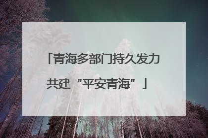 青海多部门持久发力共建“平安青海”