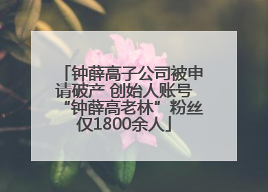钟薛高子公司被申请破产 创始人账号“钟薛高老林”粉丝仅1800余人