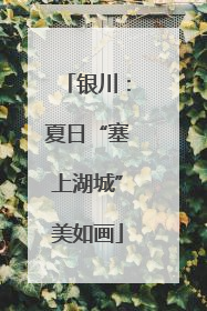 银川：夏日“塞上湖城”美如画