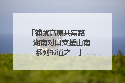 铺就高原共富路——湖南对口支援山南系列报道之一