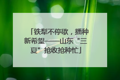 铁犁不停歇，播种新希望——山东“三夏”抢收抢种忙