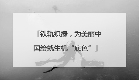 铁轨织绿，为美丽中国绘就生机“底色”