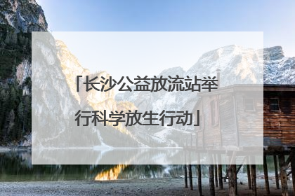 长沙公益放流站举行科学放生行动