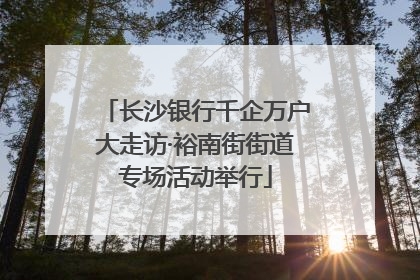 长沙银行千企万户大走访·裕南街街道专场活动举行