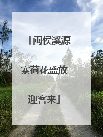 闽侯溪源寨荷花盛放迎客来
