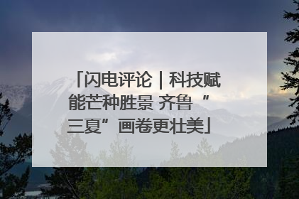 闪电评论｜科技赋能芒种胜景 齐鲁“三夏”画卷更壮美