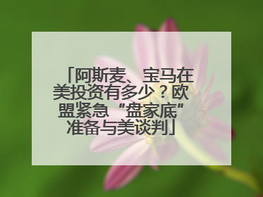 阿斯麦、宝马在美投资有多少？欧盟紧急“盘家底”准备与美谈判