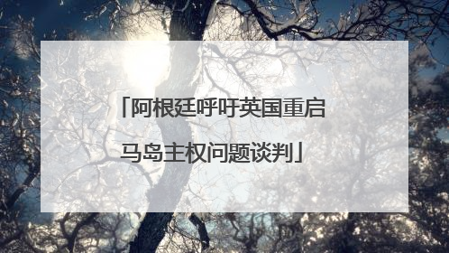 阿根廷呼吁英国重启马岛主权问题谈判