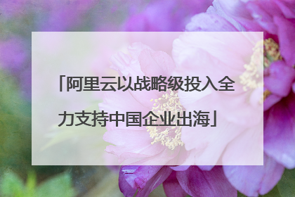 阿里云以战略级投入全力支持中国企业出海
