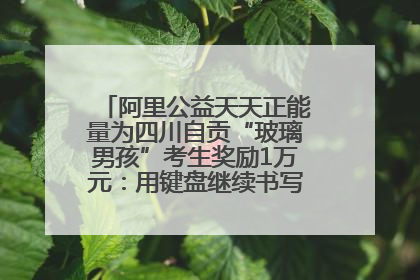 阿里公益天天正能量为四川自贡“玻璃男孩”考生奖励1万元：用键盘继续书写不设限的人生