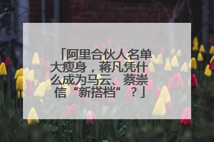 阿里合伙人名单大瘦身，蒋凡凭什么成为马云、蔡崇信“新搭档”？