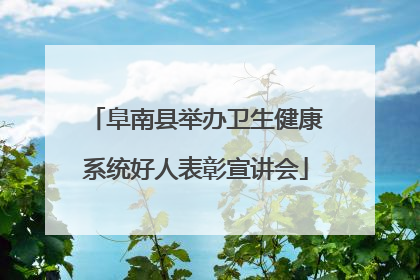 阜南县举办卫生健康系统好人表彰宣讲会