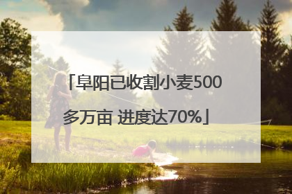 阜阳已收割小麦500多万亩 进度达70%