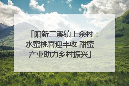 阳新三溪镇上余村：水蜜桃喜迎丰收 甜蜜产业助力乡村振兴