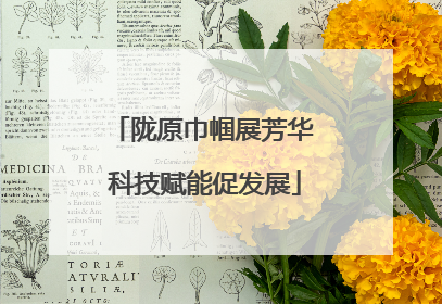 陇原巾帼展芳华 科技赋能促发展