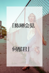 陈刚会见何猷君