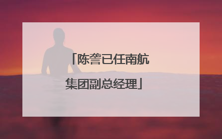 陈詟已任南航集团副总经理