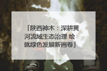 陕西神木：深耕黄河流域生态治理 绘就绿色发展新画卷