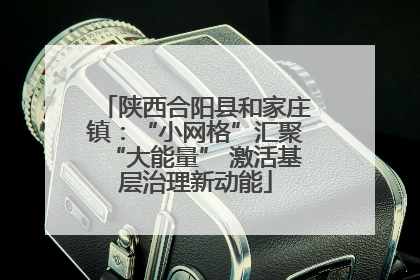陕西合阳县和家庄镇：“小网格”汇聚“大能量” 激活基层治理新动能