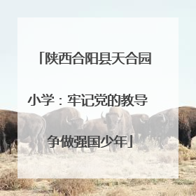 陕西合阳县天合园小学：牢记党的教导 争做强国少年