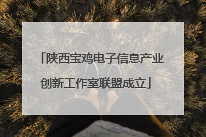 陕西宝鸡电子信息产业创新工作室联盟成立