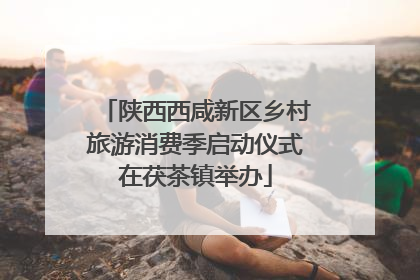 陕西西咸新区乡村旅游消费季启动仪式在茯茶镇举办