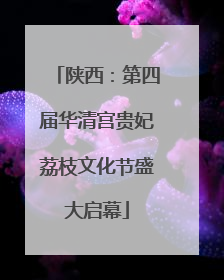 陕西：第四届华清宫贵妃荔枝文化节盛大启幕