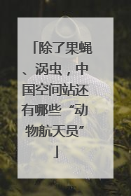 除了果蝇、涡虫，中国空间站还有哪些“动物航天员”