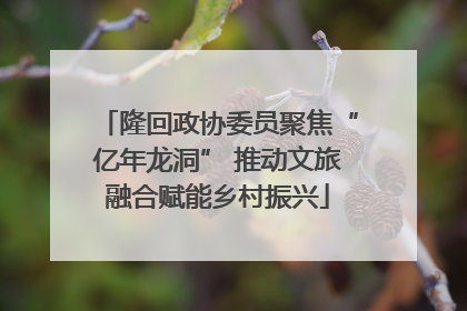 隆回政协委员聚焦“亿年龙洞” 推动文旅融合赋能乡村振兴