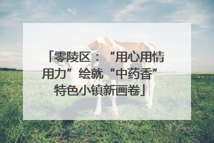 零陵区：“用心用情用力”绘就“中药香”特色小镇新画卷