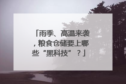 雨季、高温来袭，粮食仓储要上哪些“黑科技”？