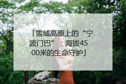雪域高原上的“宁波门巴”：海拔4500米的生命守护