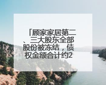 顾家家居第二、三大股东全部股份被冻结，债权金额合计约20亿元