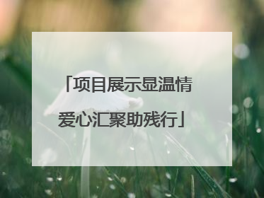 项目展示显温情 爱心汇聚助残行