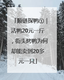 顺链探鸭①｜活鸭20元一斤，街头烤鸭为何却能卖到20多元一只
