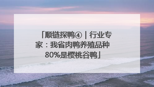 顺链探鸭④｜行业专家：我省肉鸭养殖品种80%是樱桃谷鸭