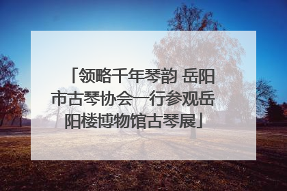 领略千年琴韵 岳阳市古琴协会一行参观岳阳楼博物馆古琴展