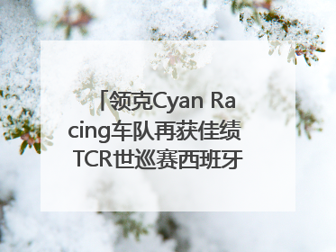 领克Cyan Racing车队再获佳绩 TCR世巡赛西班牙站包揽六座奖杯