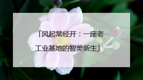 风起常经开：一座老工业基地的智美新生