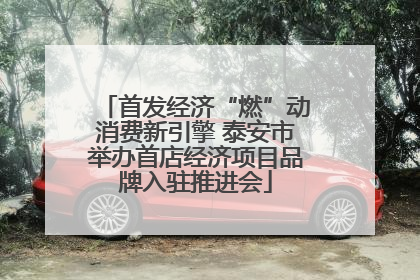 首发经济“燃”动消费新引擎 泰安市举办首店经济项目品牌入驻推进会