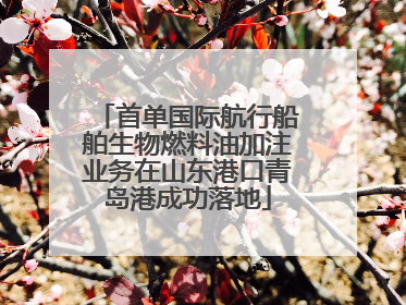 首单国际航行船舶生物燃料油加注业务在山东港口青岛港成功落地