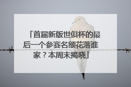 首届新版世俱杯的最后一个参赛名额花落谁家？本周末揭晓