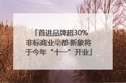 首进品牌超30% 非标商业亳都·新象将于今年“十一”开业
