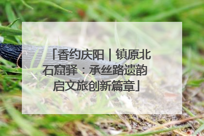 香约庆阳｜镇原北石窟驿：承丝路遗韵 启文旅创新篇章